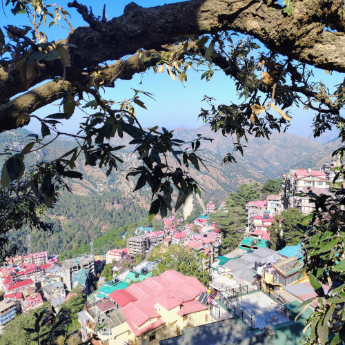 Shimla