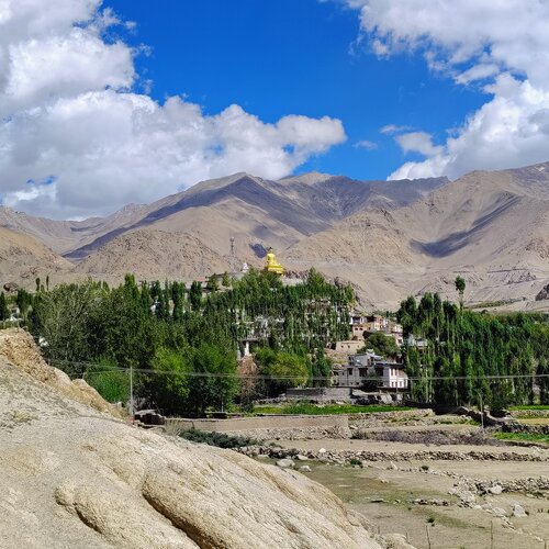 Buddha Shakyamuni Statue